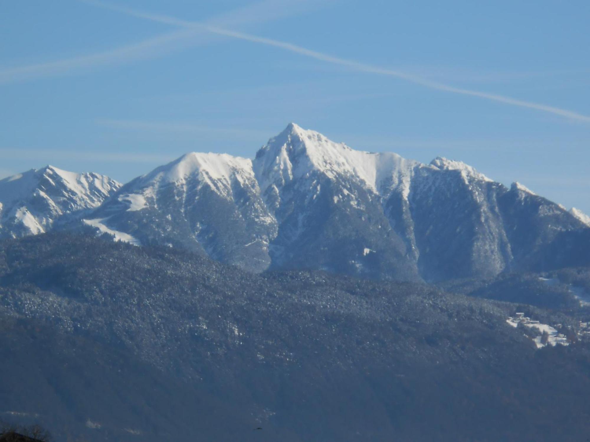 Gaestehaus Edelweiss Telfs Bagian luar foto